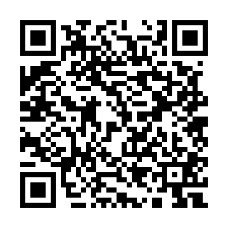QR code for Q925013