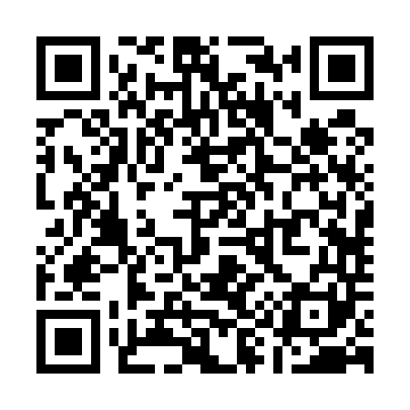 QR code for Q92541