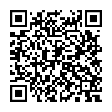QR code for Q93102