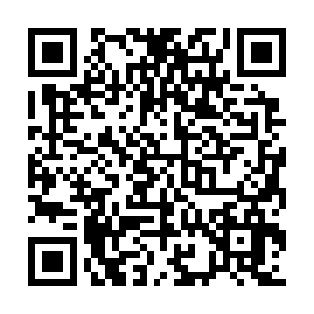 QR code for Q933365
