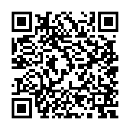QR code for Q950428