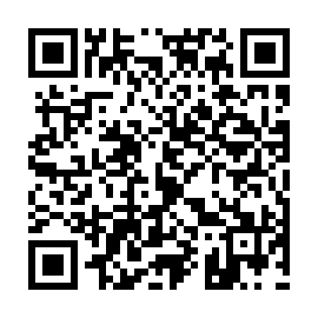 QR code for Q95091