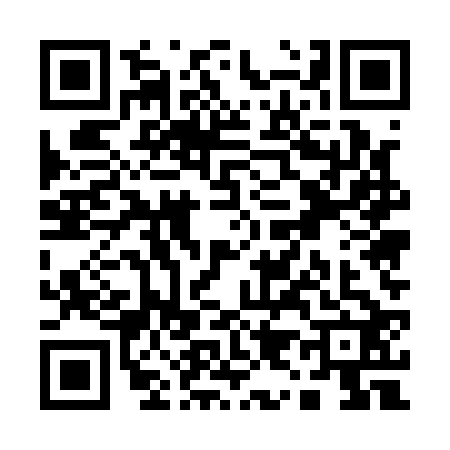 QR code for Q951227