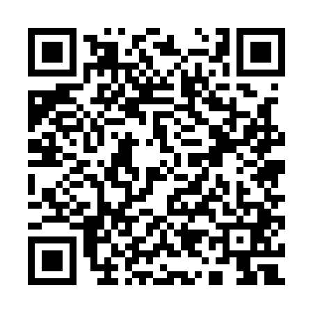 QR code for Q951410