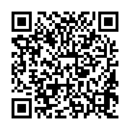 QR code for Q95198
