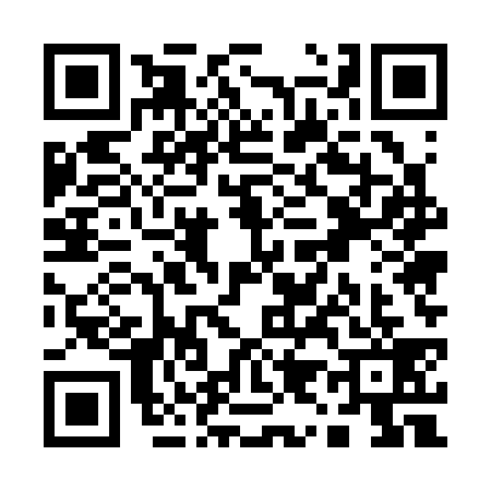 QR code for Q953392