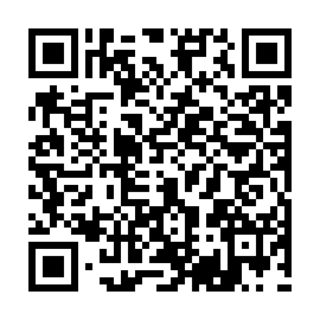 QR code for Q953521