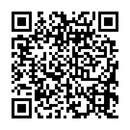 QR code for Q953781