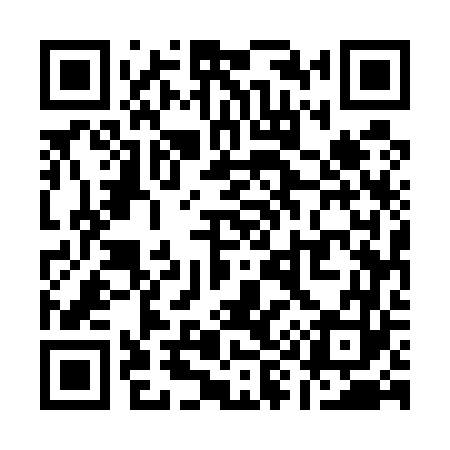 QR code for Q95563