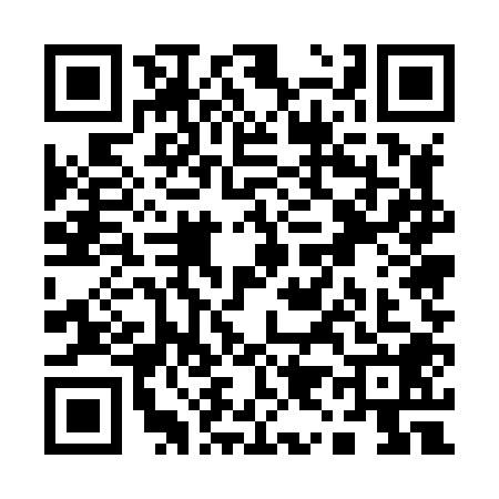 QR code for Q958081