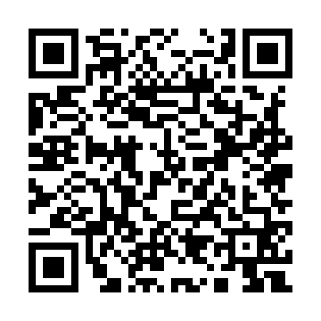 QR code for Q959600