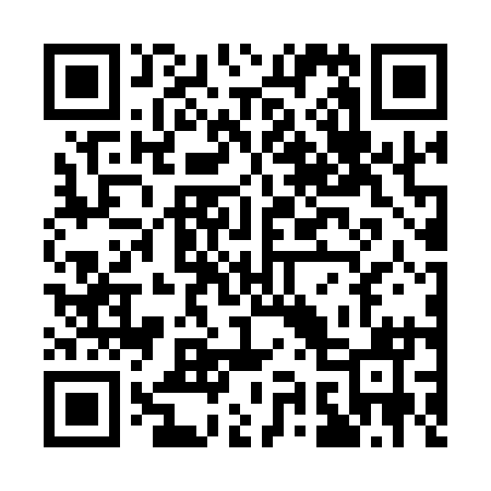QR code for Q96111