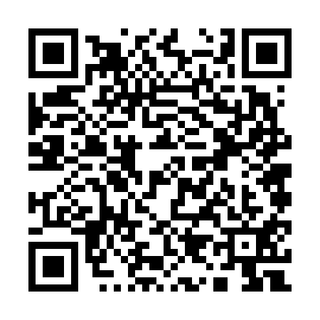 QR code for Q966117