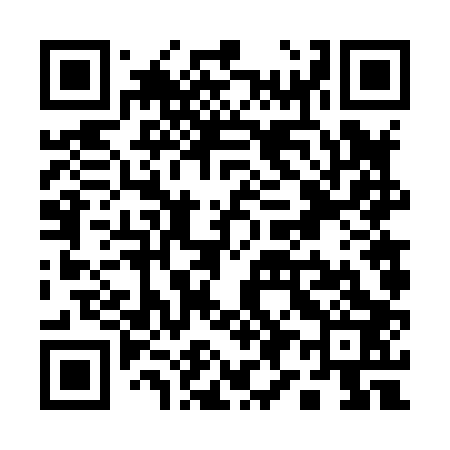 QR code for Q96803