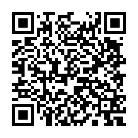 QR code for Q98460