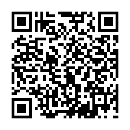 QR code for Q990718