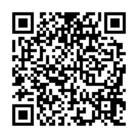 QR code for Q993965