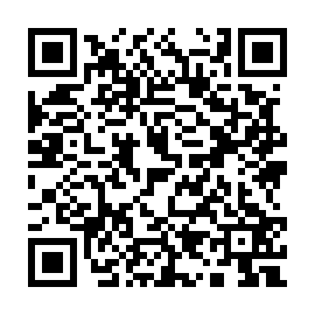 QR code for Q995233