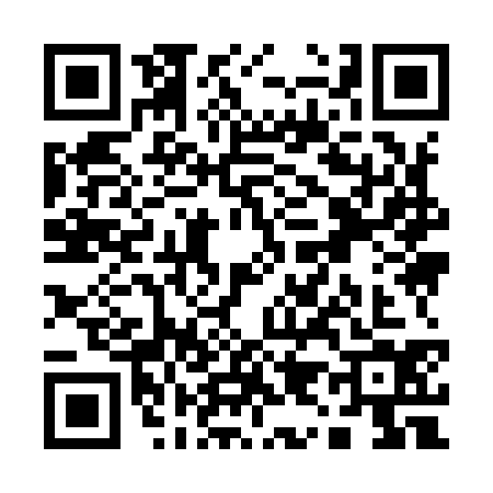 QR code for Q999346