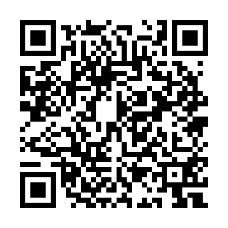 QR code for QA12509