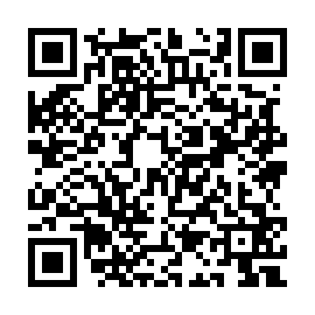 QR code for QA95624