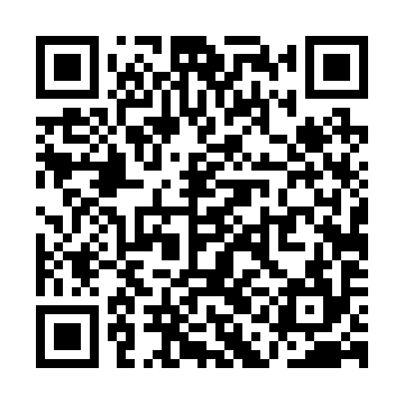 QR code for QAD294
