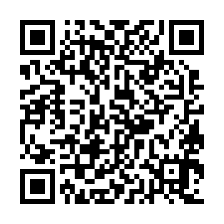 QR code for QAG295
