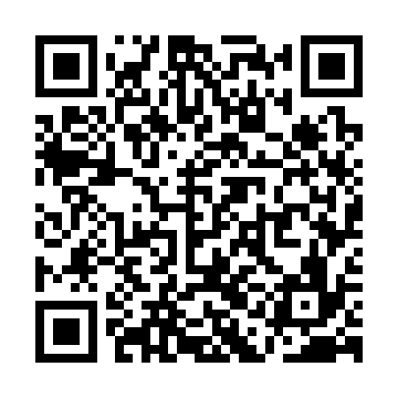 QR code for QAG336