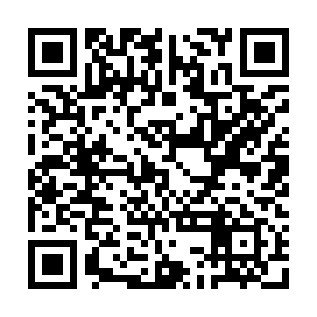 QR code for QCI919