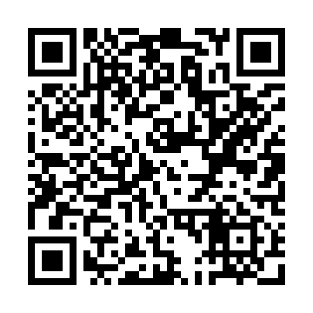 QR code for QD4919