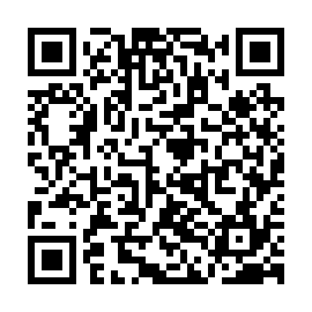 QR code for QDG234