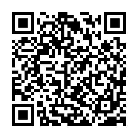 QR code for QDX317