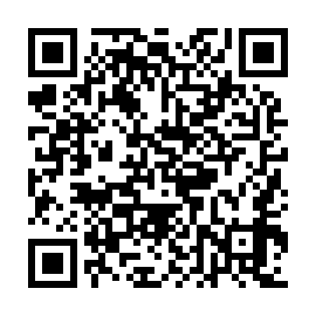 QR code for QDZ959