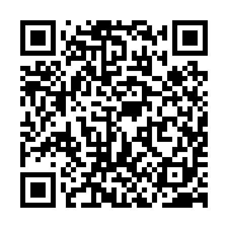 QR code for QF1291