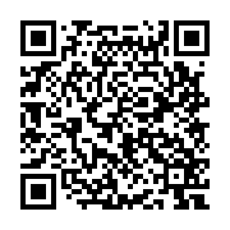 QR code for QFP166