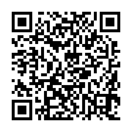 QR code for QFQ290