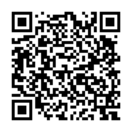 QR code for QGC491