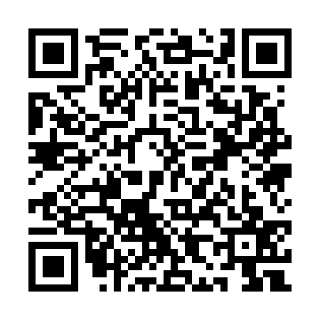 QR code for QH17377