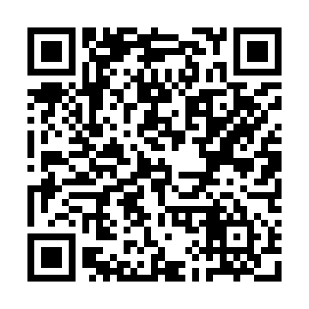 QR code for QI4955