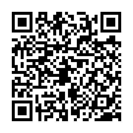 QR code for QI56381