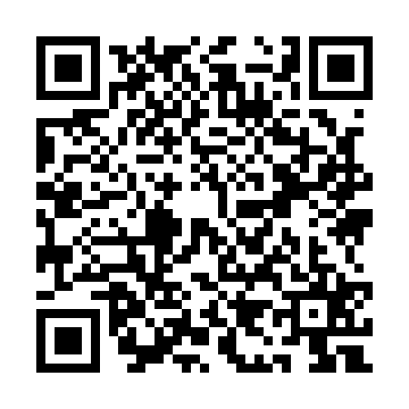 QR code for QI91252