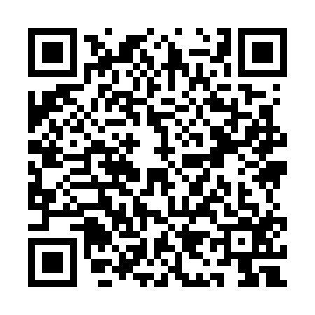 QR code for QI97161