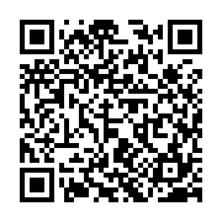 QR code for QI9934