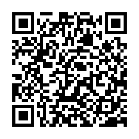 QR code for QID370