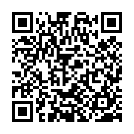 QR code for QIN424