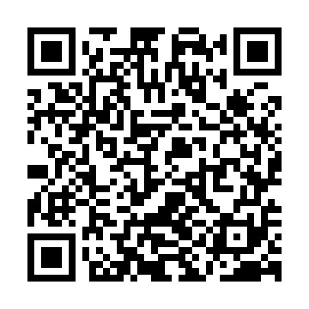 QR code for QIO951