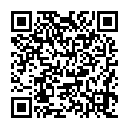 QR code for QIZ975