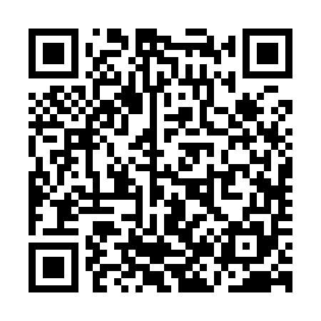 QR code for QJ2955