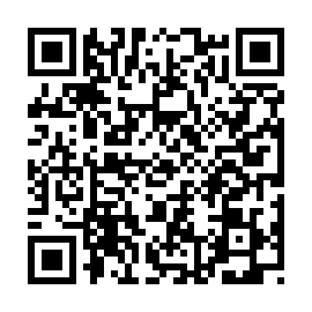 QR code for QL45294