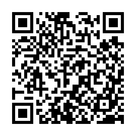 QR code for QL6667